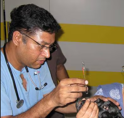 Dr. Aravind Kumar S M