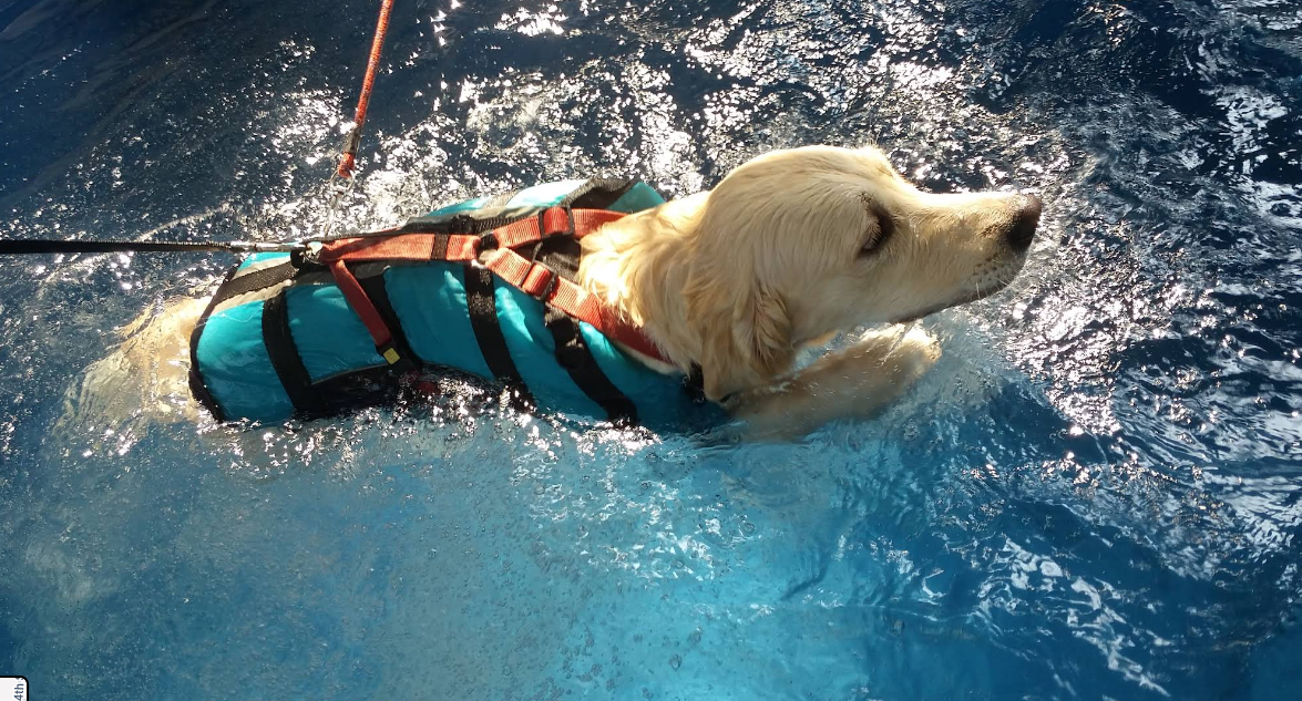 Therapeutic Swimming Pool